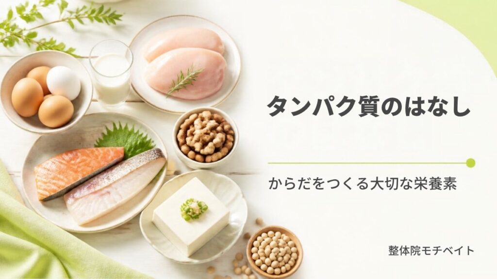 タンパク質のはなし